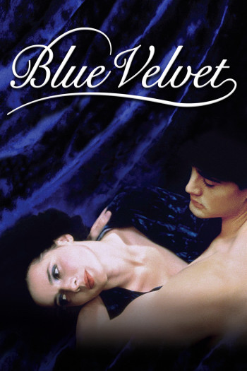 Bluevelvet_111